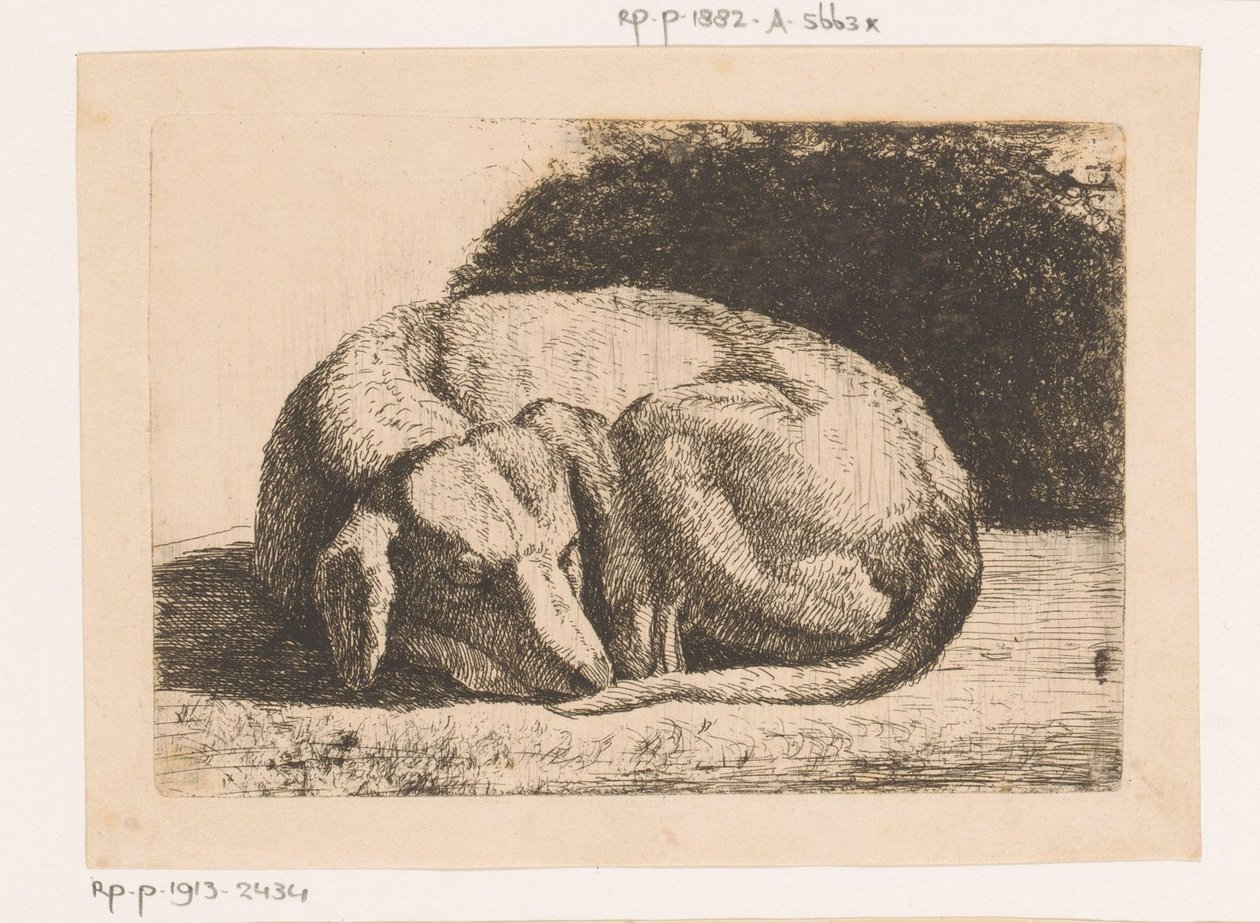 Sovende hund av Hendrik Jozef Franciscus van der Poorten