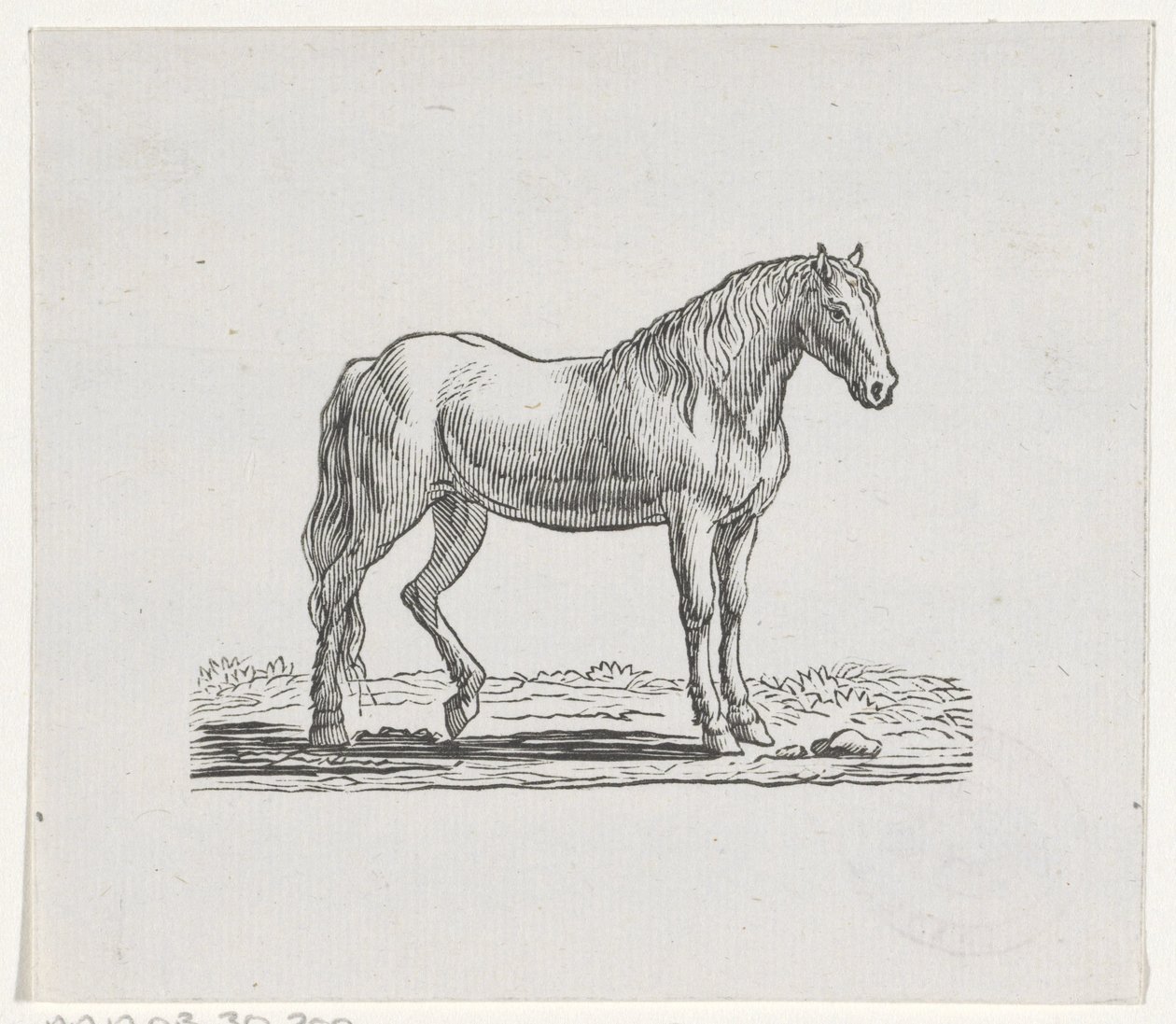 Hest av Hendrik Numan