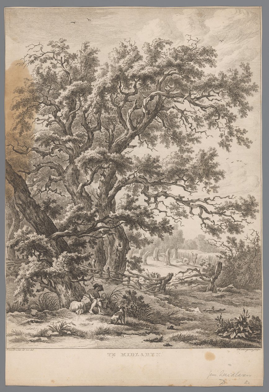 Landskap med mann og hund under et tre ved Midlaren I Midlaren (tittel på objekt) Ni ansikter i Drenthe (serietittel) IX Ansikter i og nær Drenthes landskap (serietittel) av Hendrik Schwegman