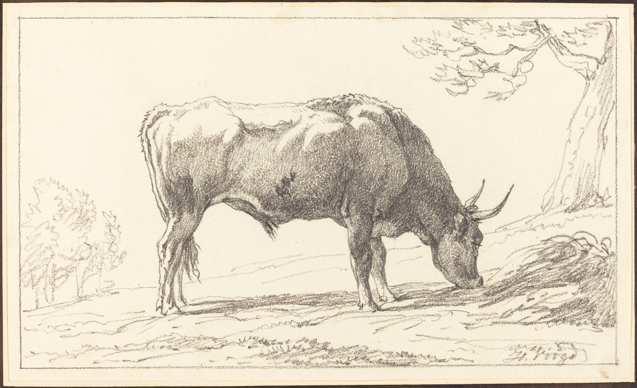 En ung okse på beite av Hendrik Voogd