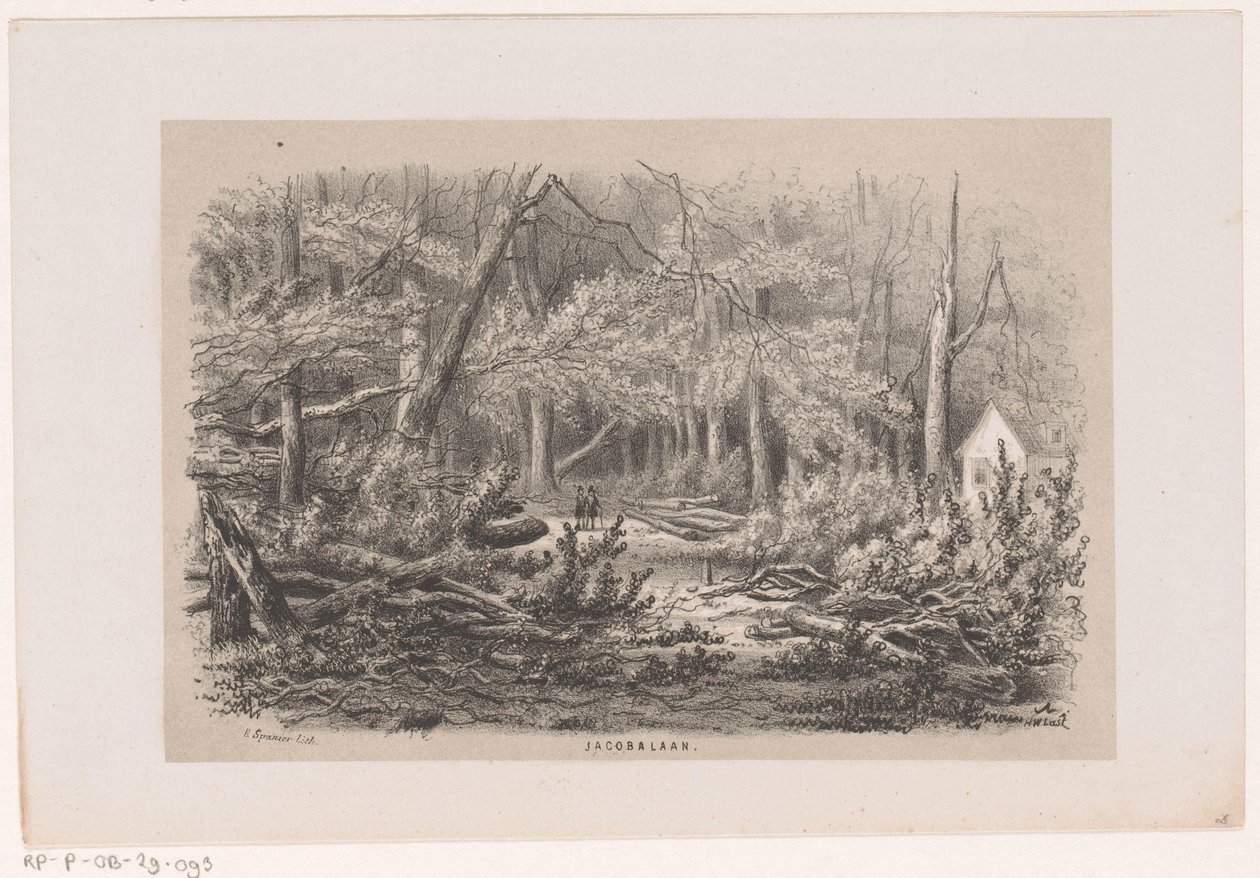 Trær som ble blåst ned på Jacobalaan, etter stormen 28. mai 1860 Jacobalaan (tittel på objekt) Album med ti litografiske skisser, som viser Tooneelen of the Destruction, agitated by stormen 28. mai 1860 i 