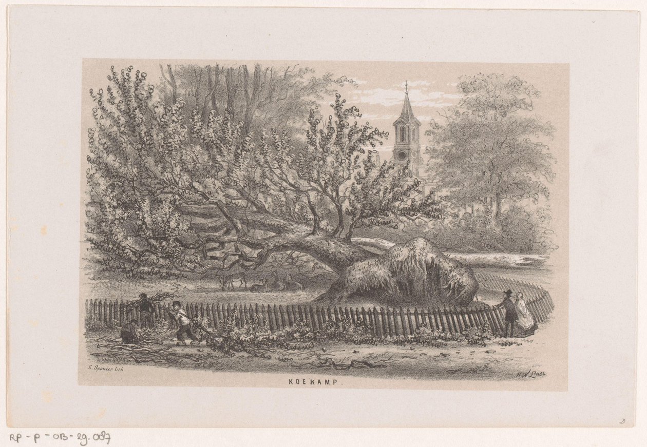 Tre blåst ned ved Koekamp, ​​​​etter stormen 28. mai 1860 Koekamp (tittel på objekt) Album med ti litografiske skisser, som viser Tooneelen of the Destruction, agitert av stormen 28. mai 1860 i 