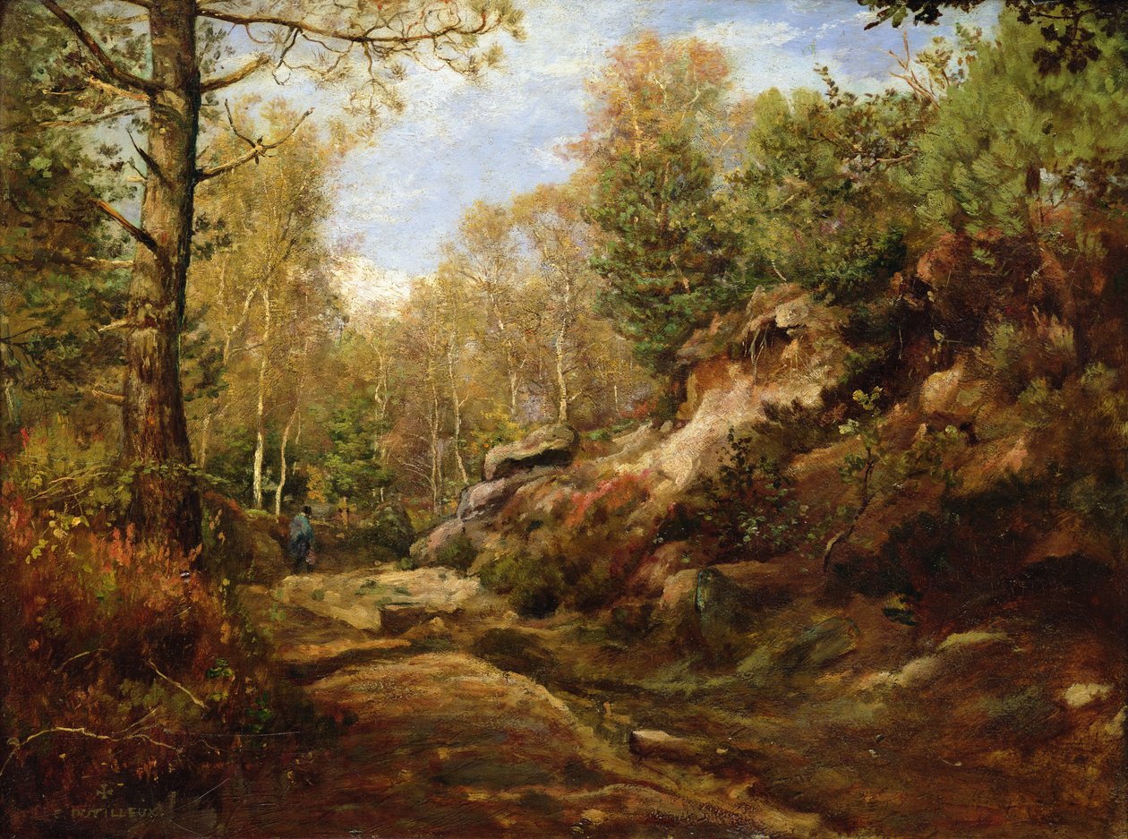 Furu og bjørketrær eller, The Forest of Fontainebleau, c.1855-57 av Henri Joseph Constant Dutilleux