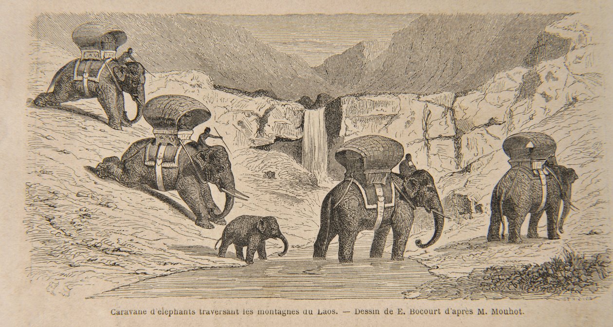 Caravan of Elephants Crossing the Mountains of Laos, trykk laget av E. Bocourt, illustrasjon fra 'Reiser i de sentrale delene av Indo-Kina (Siam), Kambodsja og Laos i løpet av årene 1858, 1859, og av Henri Mouhot