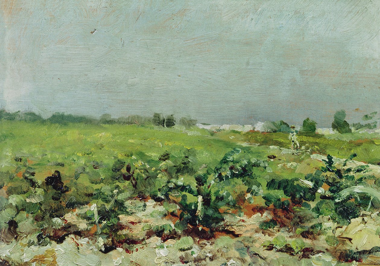Celeyran, View of the Vineyard, 1880 av Henri de Toulouse Lautrec