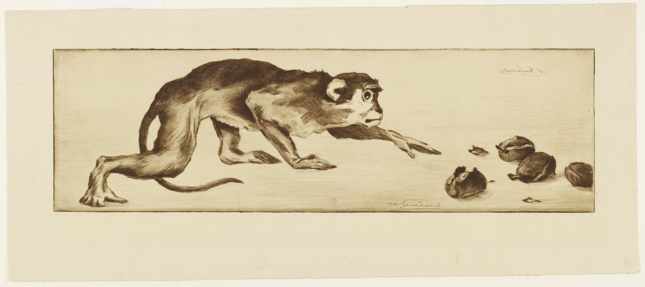 Monkey and Chestnuts, 1800-tallet (etsing og rulett) av Henri Charles Guérard