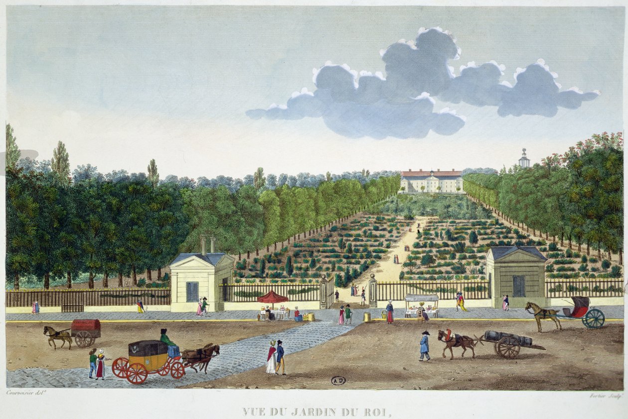 Utsikt over Jardin du Roi i Paris fra broen i Austerlitz, gravert av Claude Fortier (1775-1835) (fargegravering) av Henri (after) Courvoisier Voisin