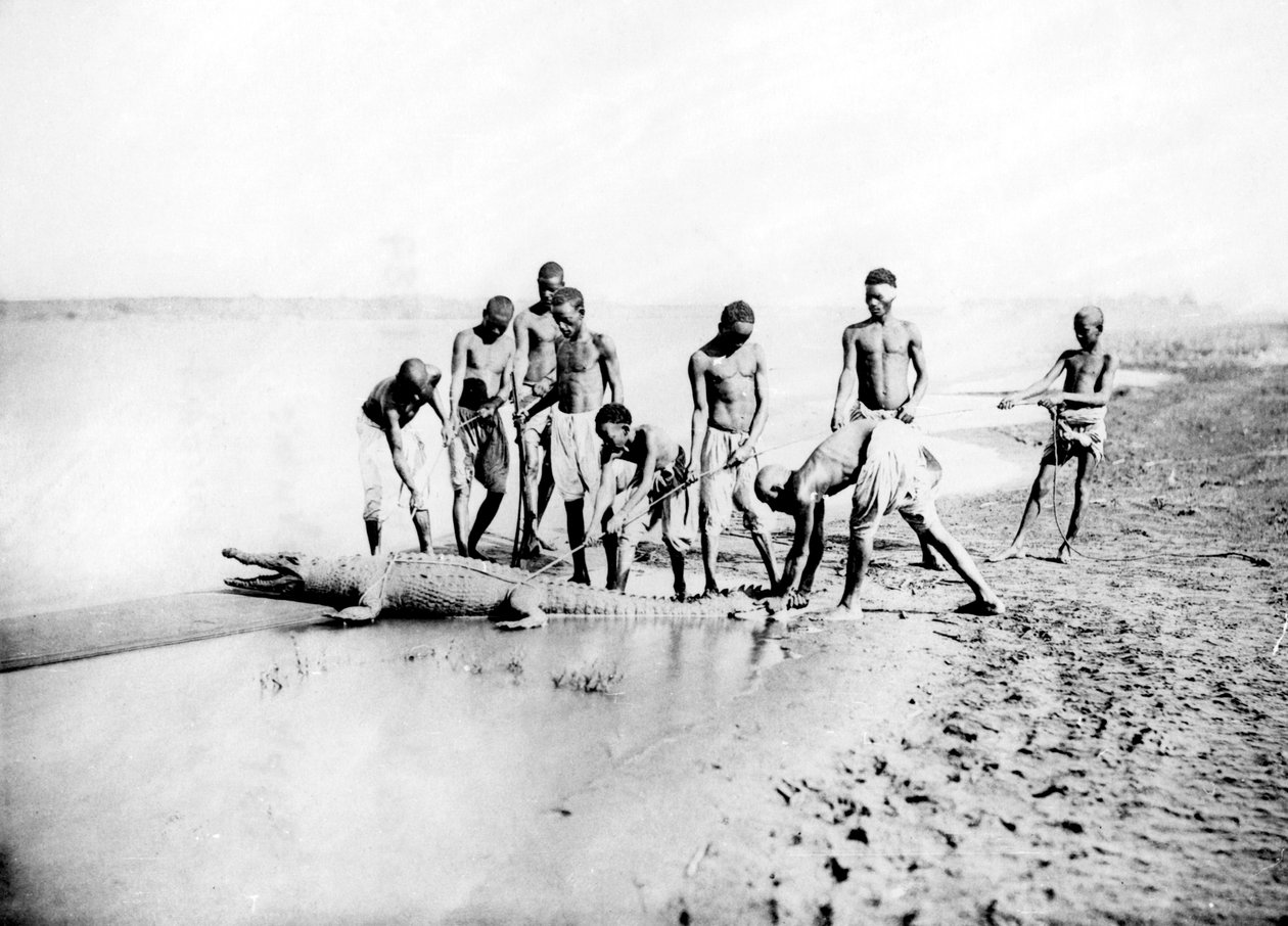 Jakt på en krokodille, Nubia, Egypt, 1887 av Georges Henri Bechard