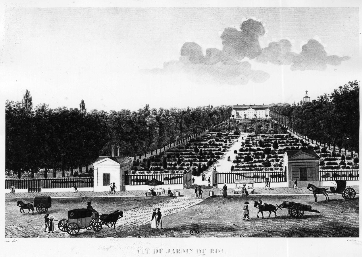 Utsikt fra kongens hage: den botaniske hagen i Paris - gravering av Courvoisier av Henri Courvoisier-Voisin