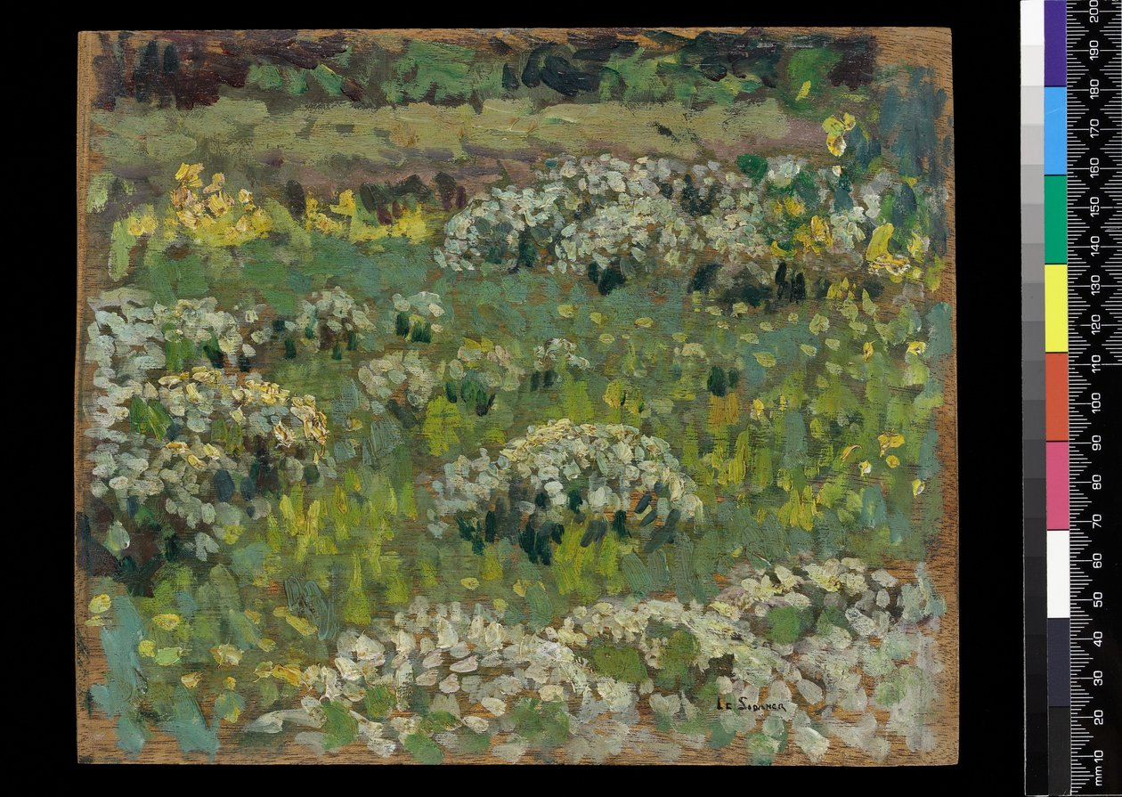 The Pond Garden, Hampton Court (olje på tre) av Henri Eugene Augustin Le Sidaner