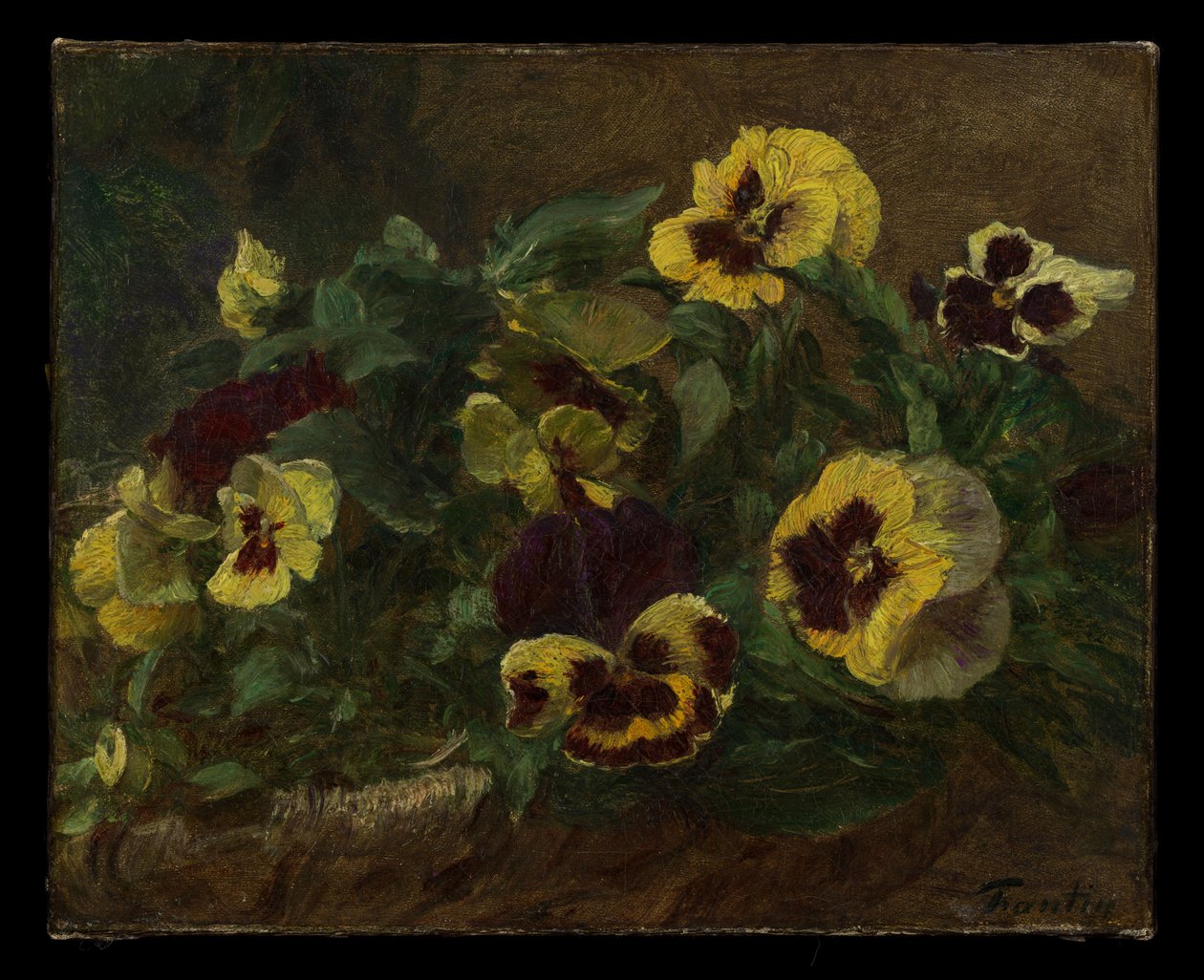 Stemorsblomster av Henri Fantin-Latour