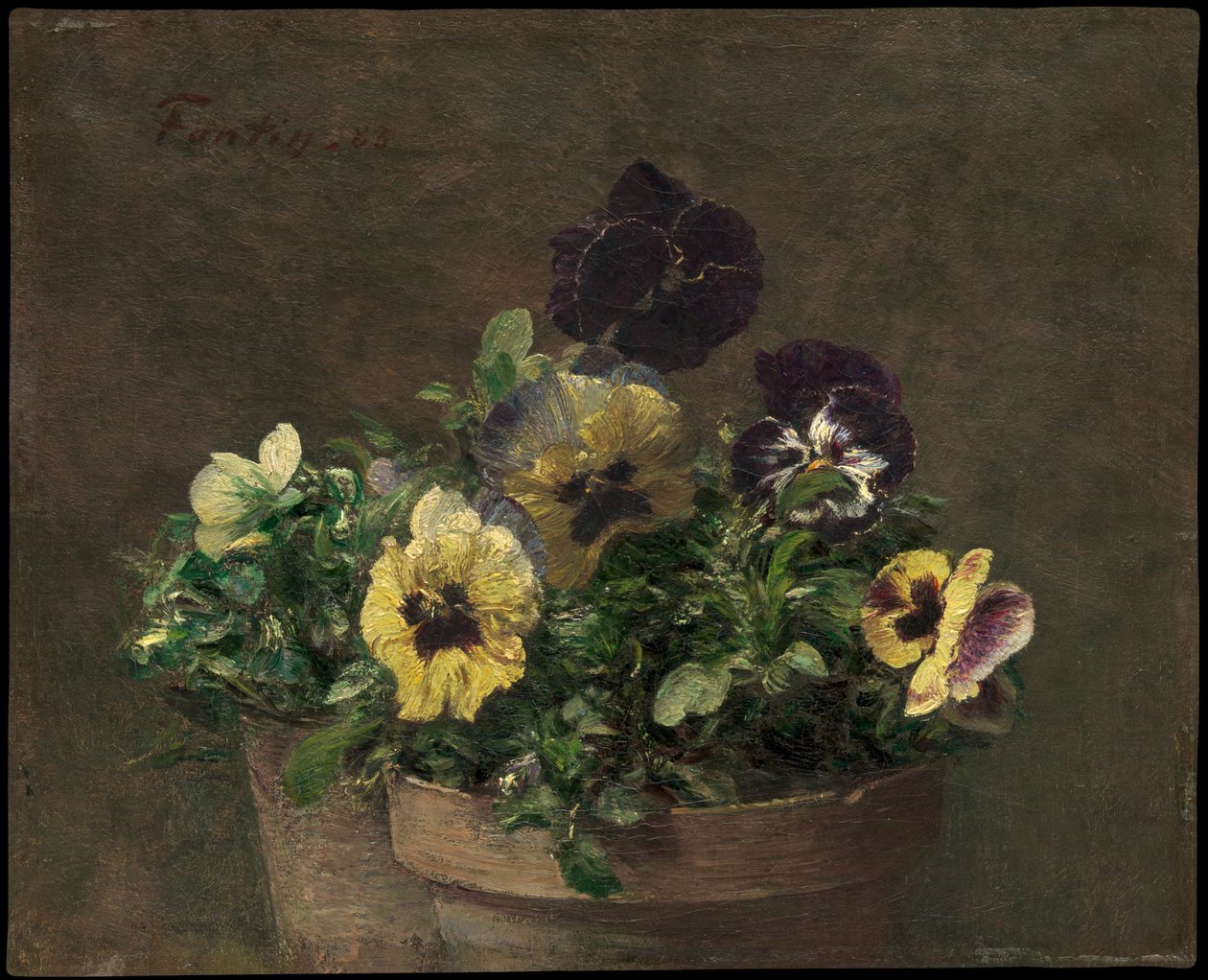 Stemorsblomster i potte av Henri Fantin-Latour