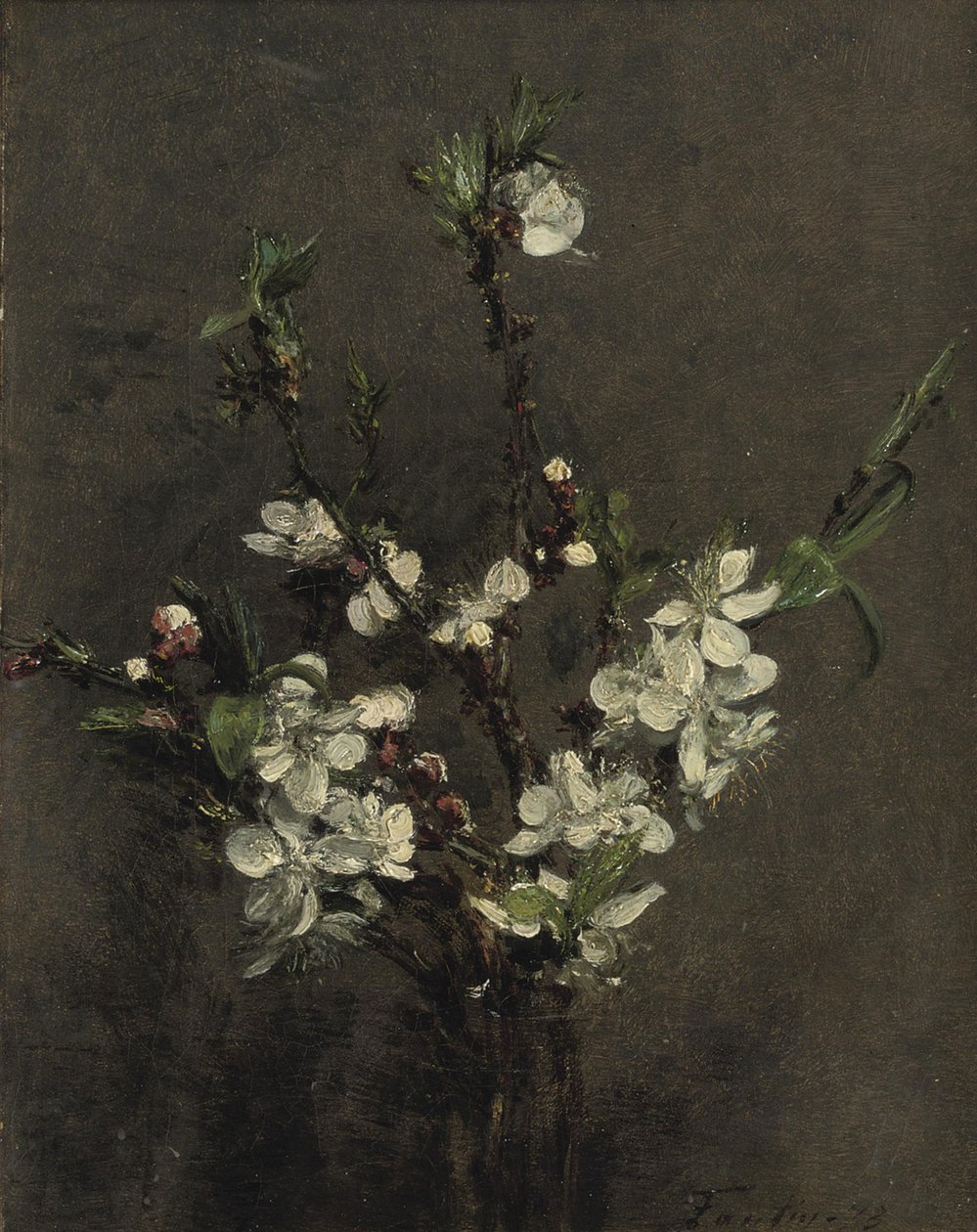 Frukttre blomster av Ignace Henri Jean Fantin Latour