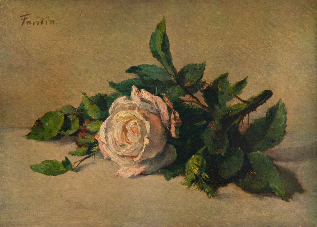 White Rose, c1863, 1938 av Ignace Henri Jean Fantin Latour