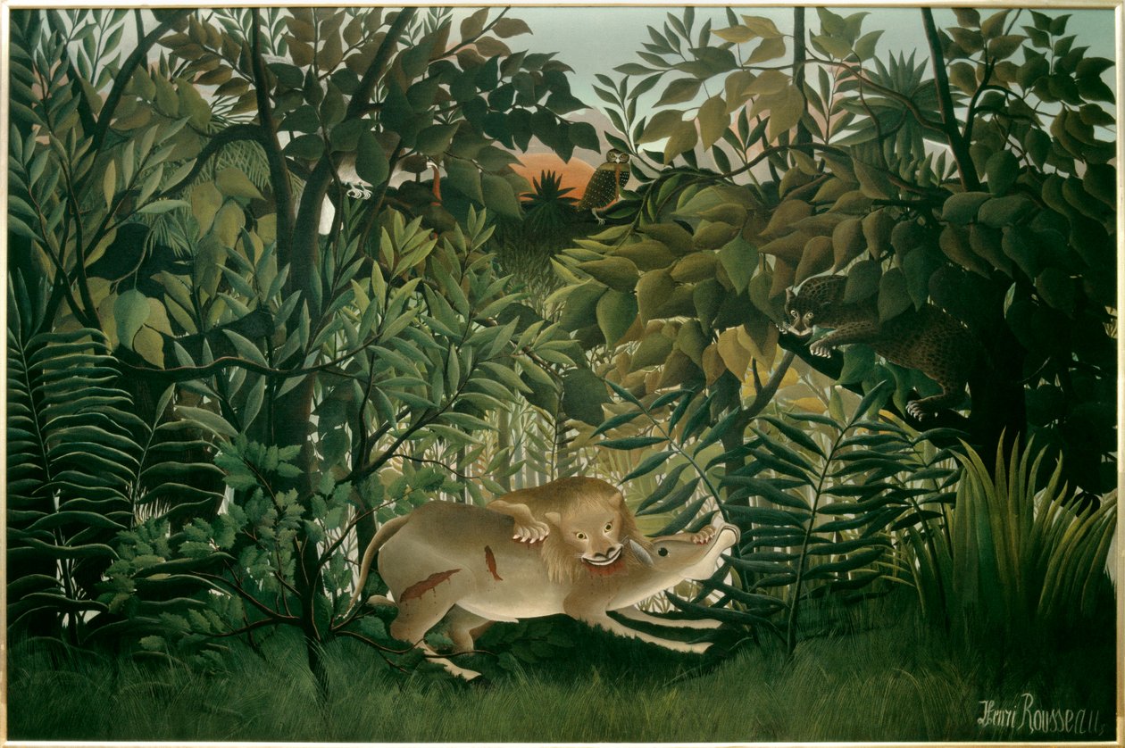 Sulten løve. Maleri av Henri Rousseau dit Le Douanier Rousseau (1844-1910), 1900-tallet. Olje på lerret. Mål: 2,00 X 3,00m. Bale, Museum of Fine Arts av Henri J.F. Rousseau