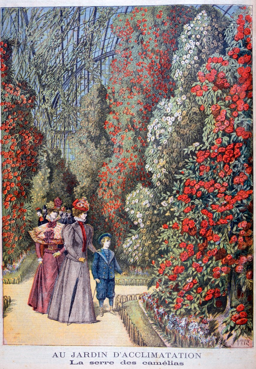 Drivhuset til kameliaene, zoologiske hager, Paris, 1897 av Henri Meyer