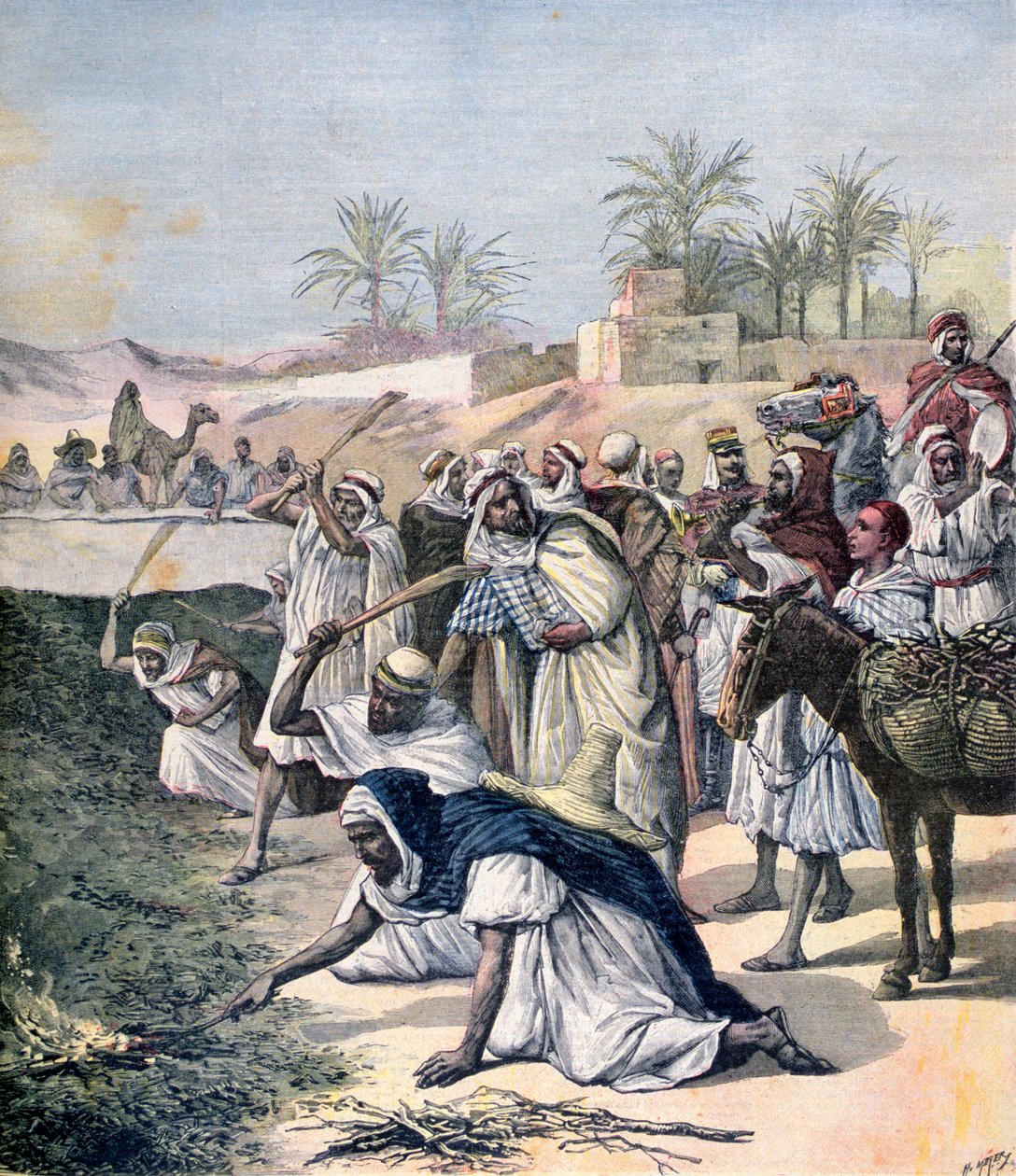 Græshoppeplagen, Algerie, 1891 av Henri Meyer