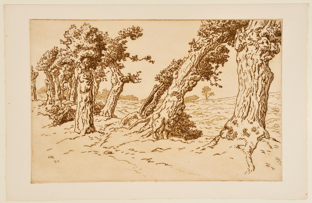 Knotige Baumstämme av Henri Rivière