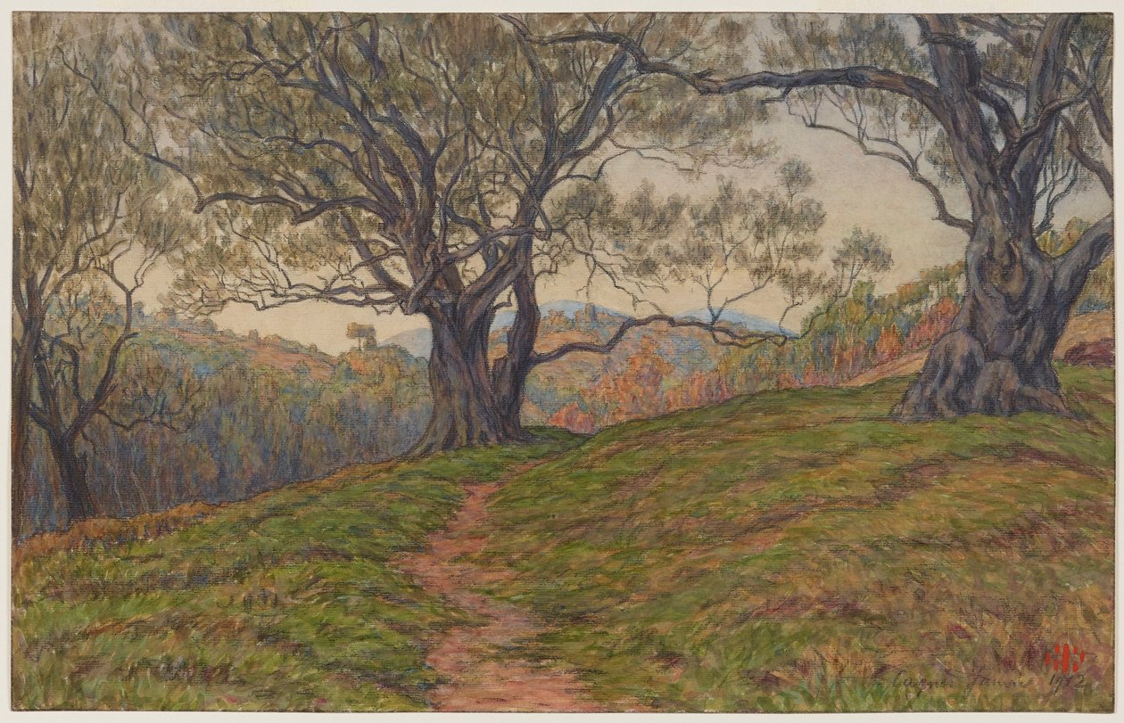 Studie av oliventrær. Cagnes av Henri Rivière