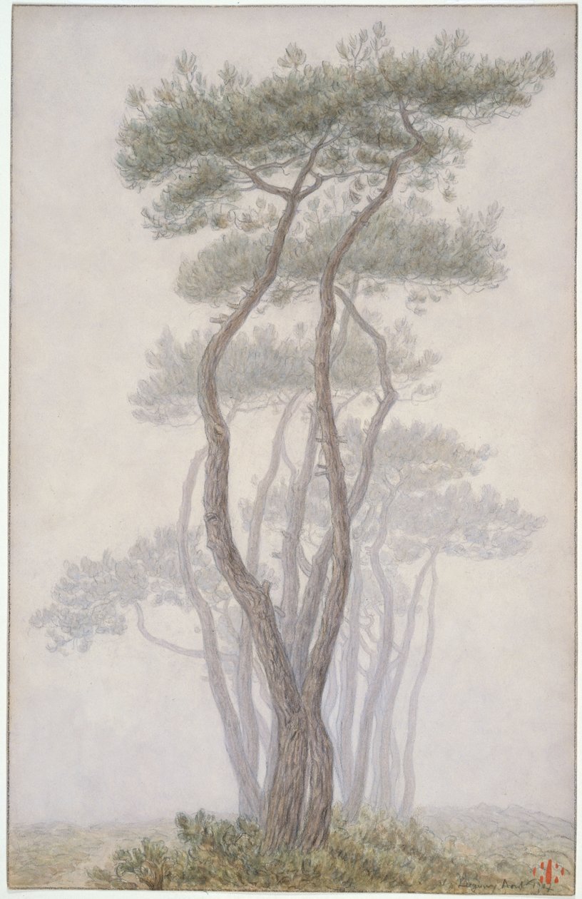Loguivy, trær av Henri Rivière