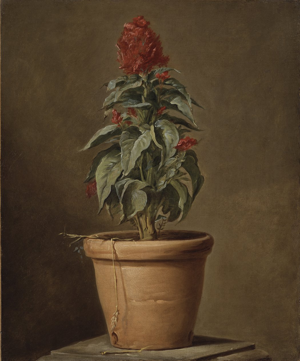 En potteplante av Henri Roland de la Porte
