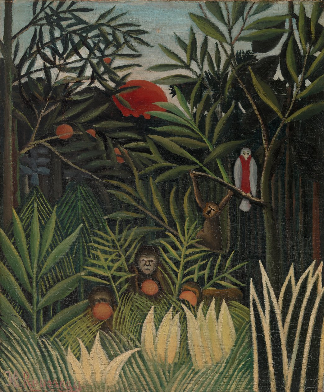 Aper og papegøye i Jomfruskogen av Henri Rousseau