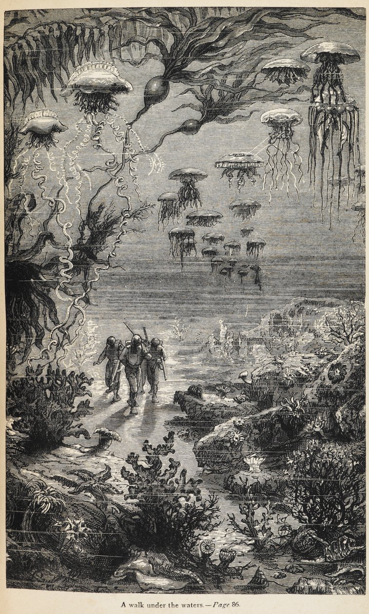 Illustrasjon for '20 000 Leagues under the Seas' skrevet av Jules Verne av Henri Theophile Hildibrand