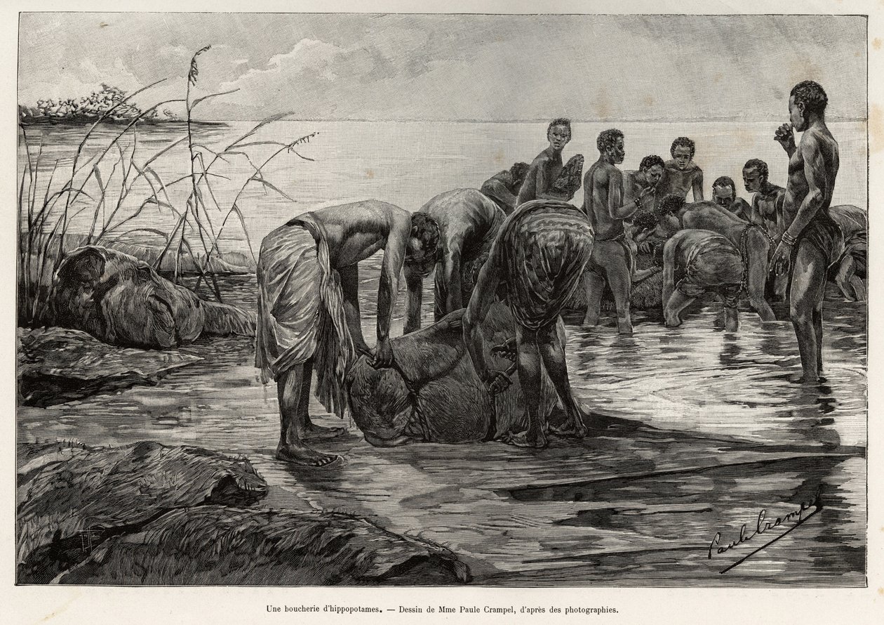 En flodhestslakterbutikk ved bredden av en sentralafrikansk elv. Gravering av Henri Thiriat for å illustrere historien "" La mission Crampel"", av Albert Nebout (1862-1939), i 1890, i Le tour du Monde 1892, regissert av Edouard Charton (1807-1891), Hachett av Henri Thiriat