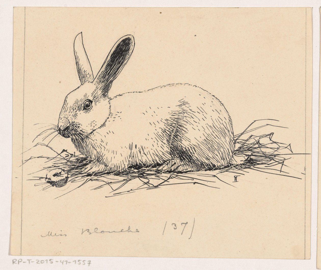 Kanin av Henri Verstijnen (signed by artist)