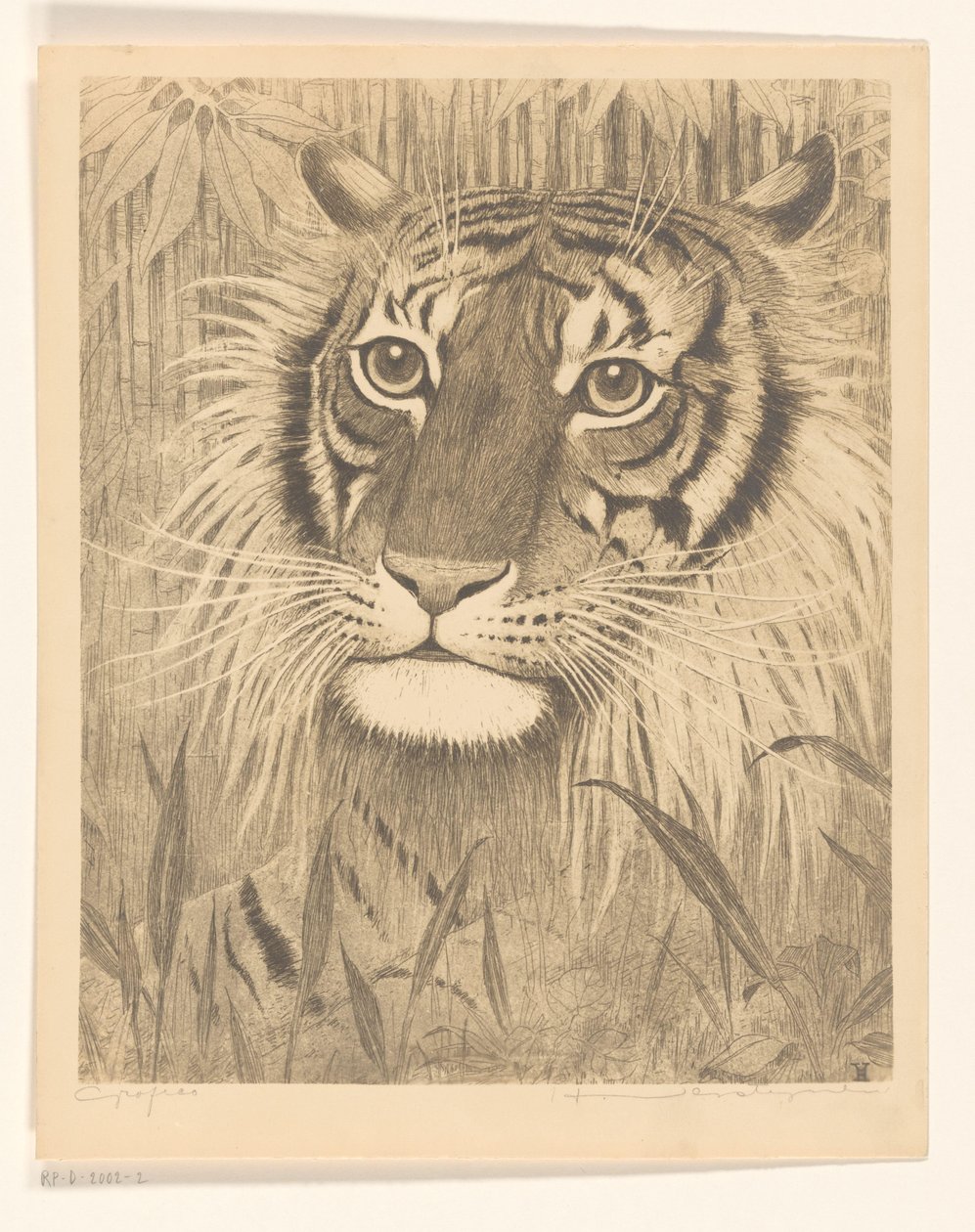 Hodet til en tiger av Henri Verstijnen (signed by artist)