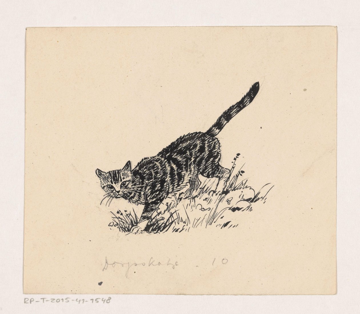 Katt av Henri Verstijnen