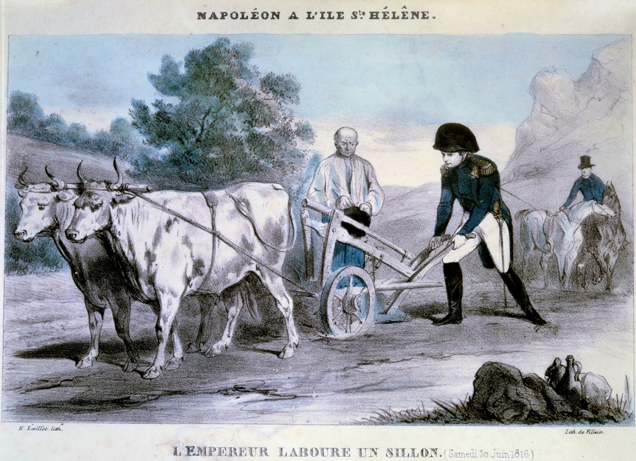 Napoleon I (1769-1821) a Saint Helene: keiseren pløyer en fure (30.06.1816) Litografi av skurken. 1816 Ile d