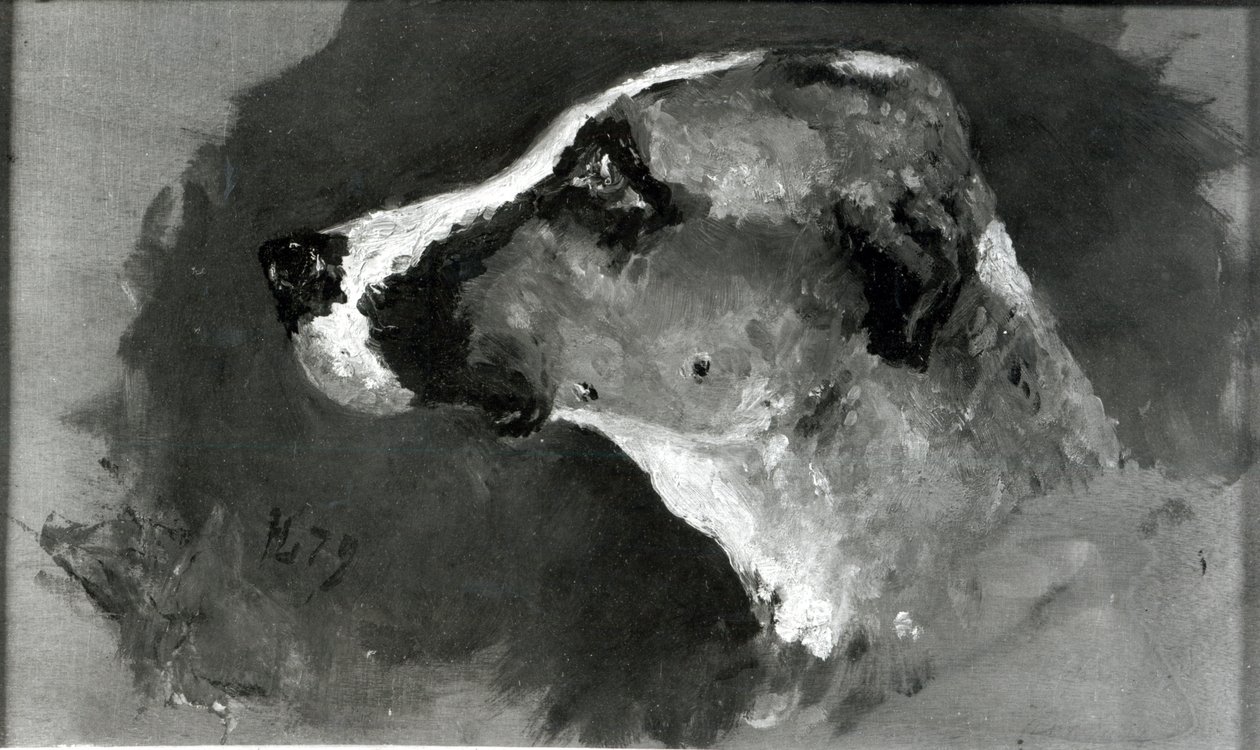 Hodet til en hund med korte ører, 1879 av Henri de Toulouse Lautrec