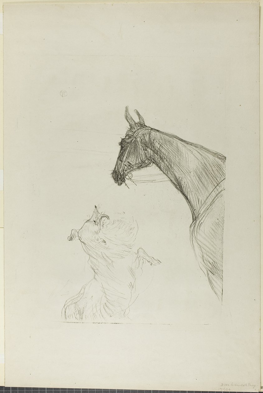 Hest og Collie av Henri de Toulouse Lautrec