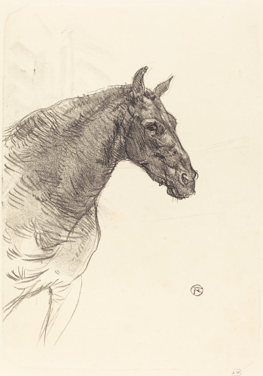 Old Horse Den gamle hesten, 1897. av Henri de Toulouse Lautrec