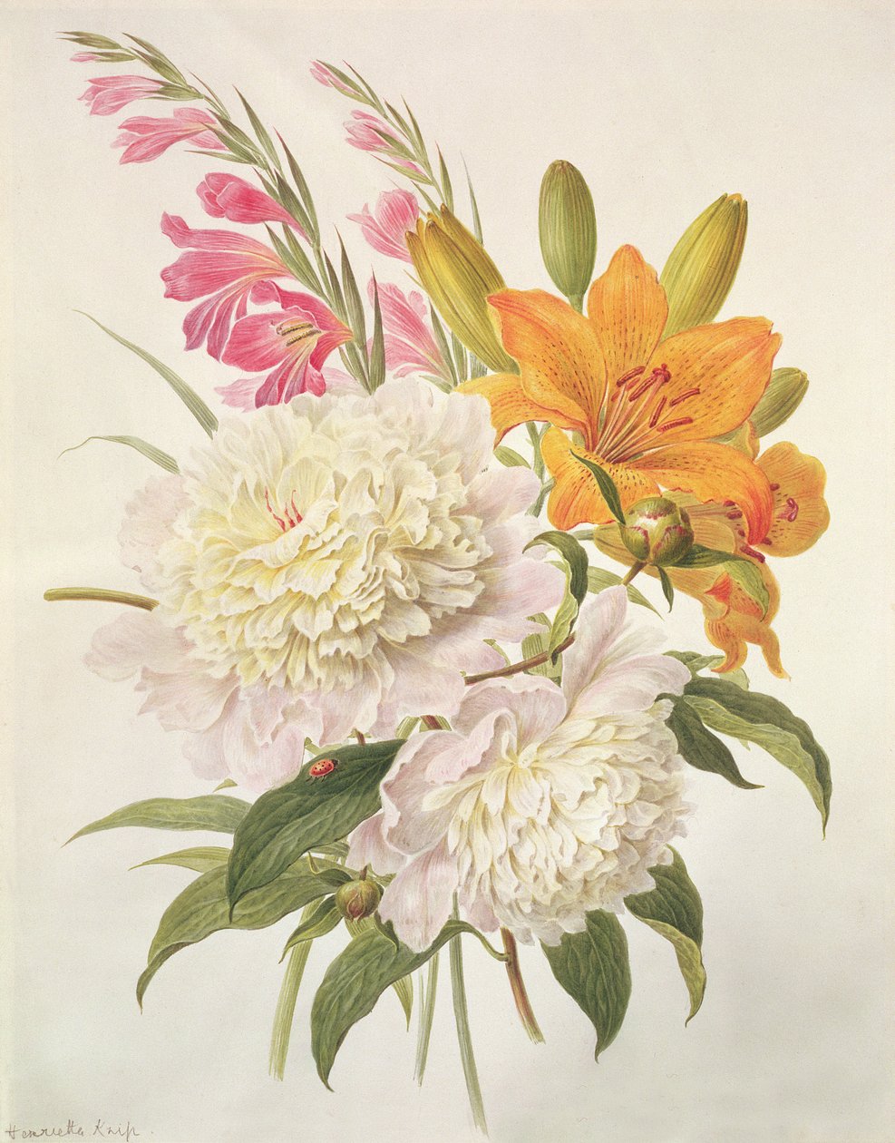Spray av Gladioli, Peoner og Lilium Bulbiferum av Henriette Gertruide Knip