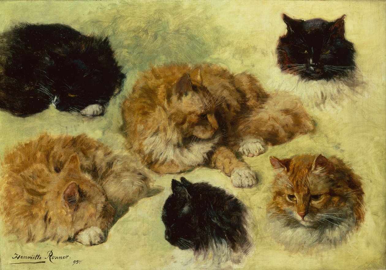 Studier av katter av Henriëtte Ronner Knip