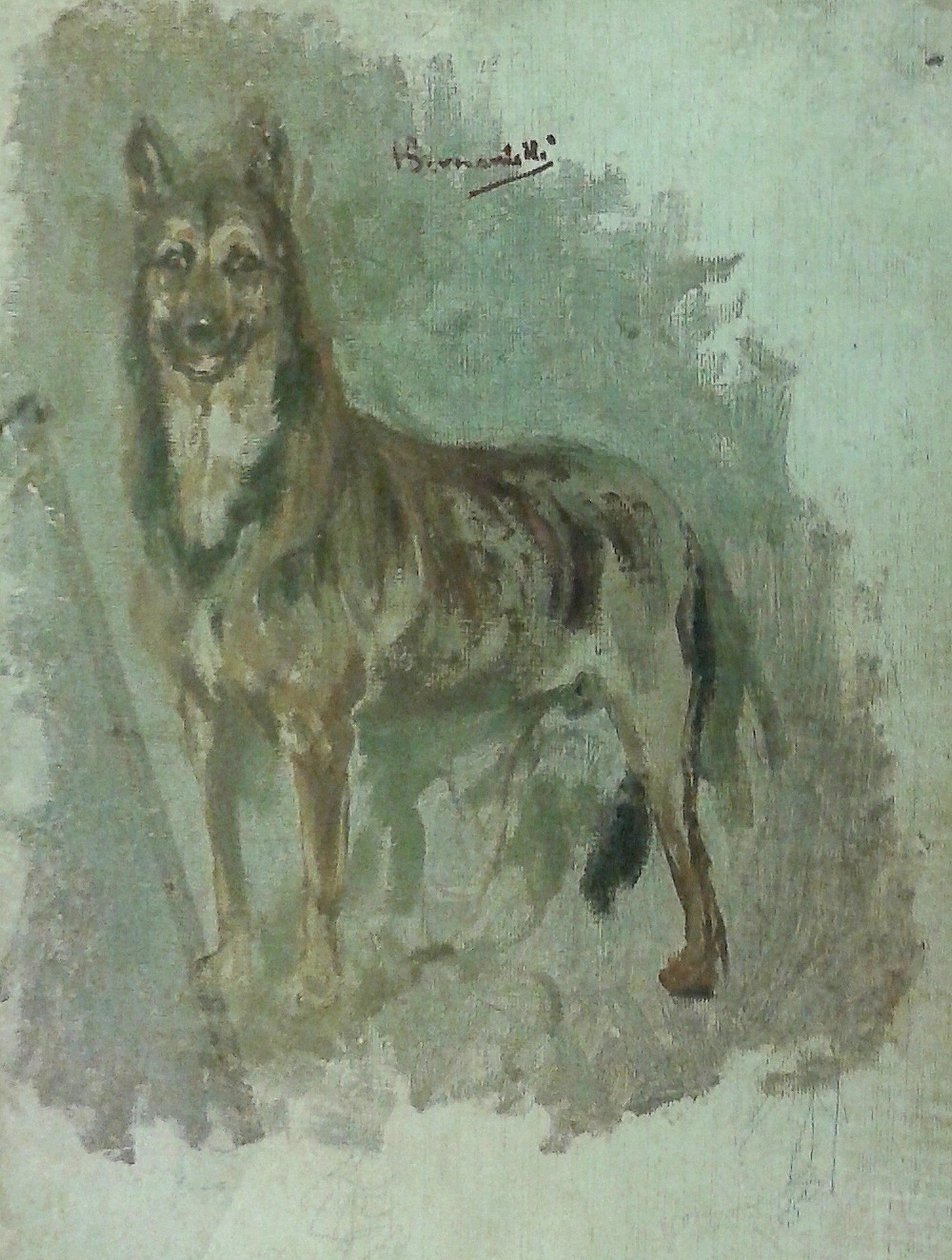 Studie av et dyr [hund] av Henrique Bernardelli