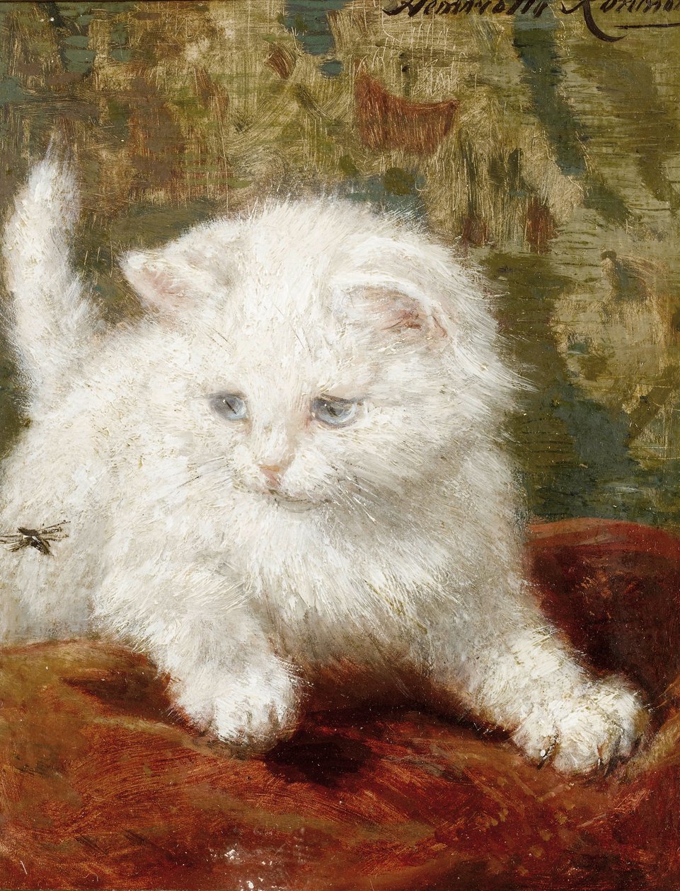Nysgjerrighet av Henriëtte Ronner Knip