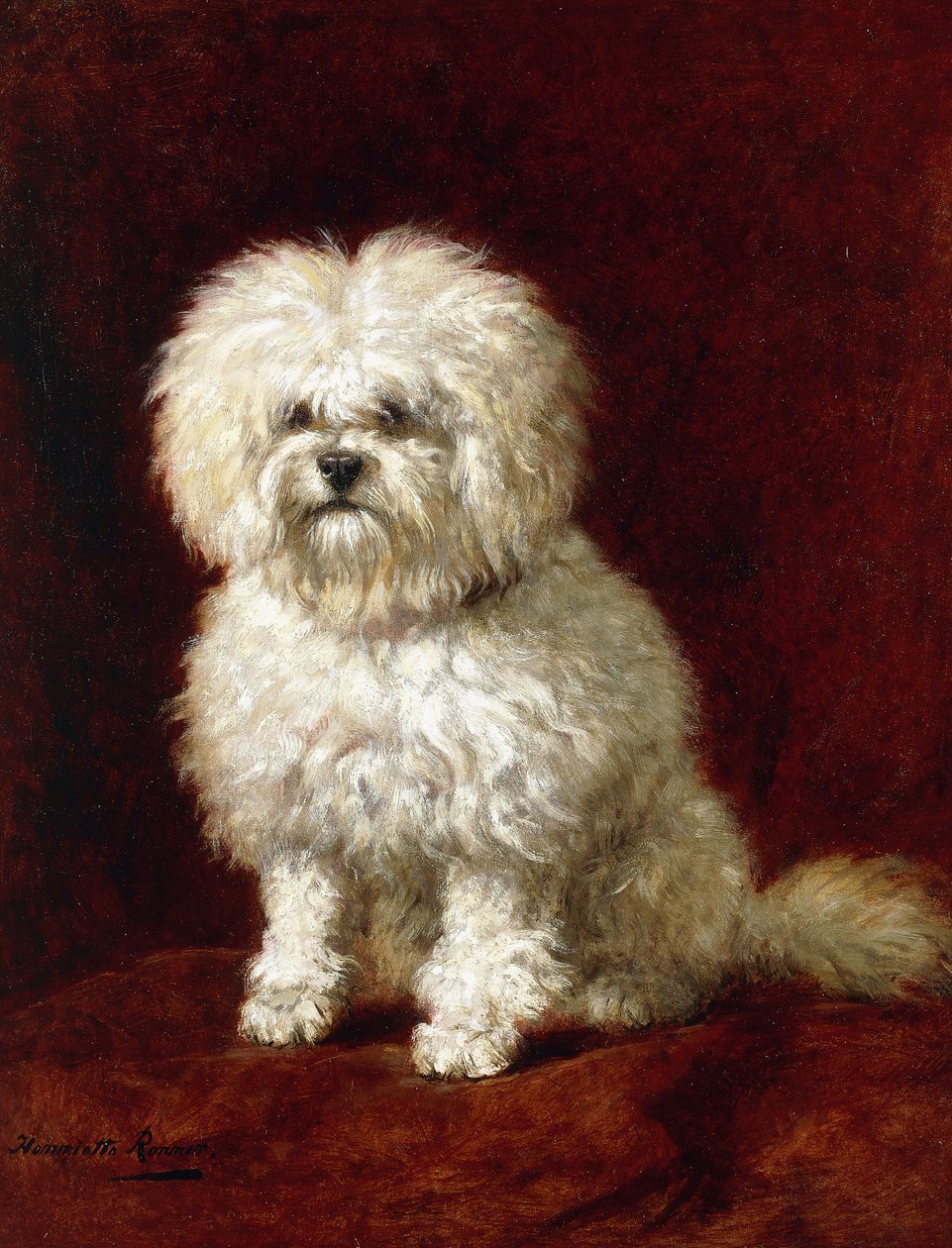 En puddel, av Henriëtte Ronner Knip