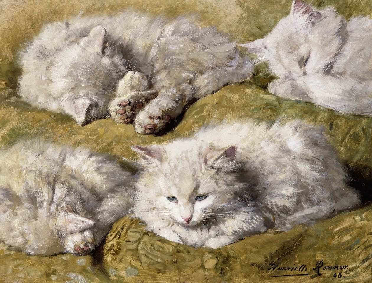 Studier av en langhåret hvit katt, 1896 av Henriëtte Ronner Knip