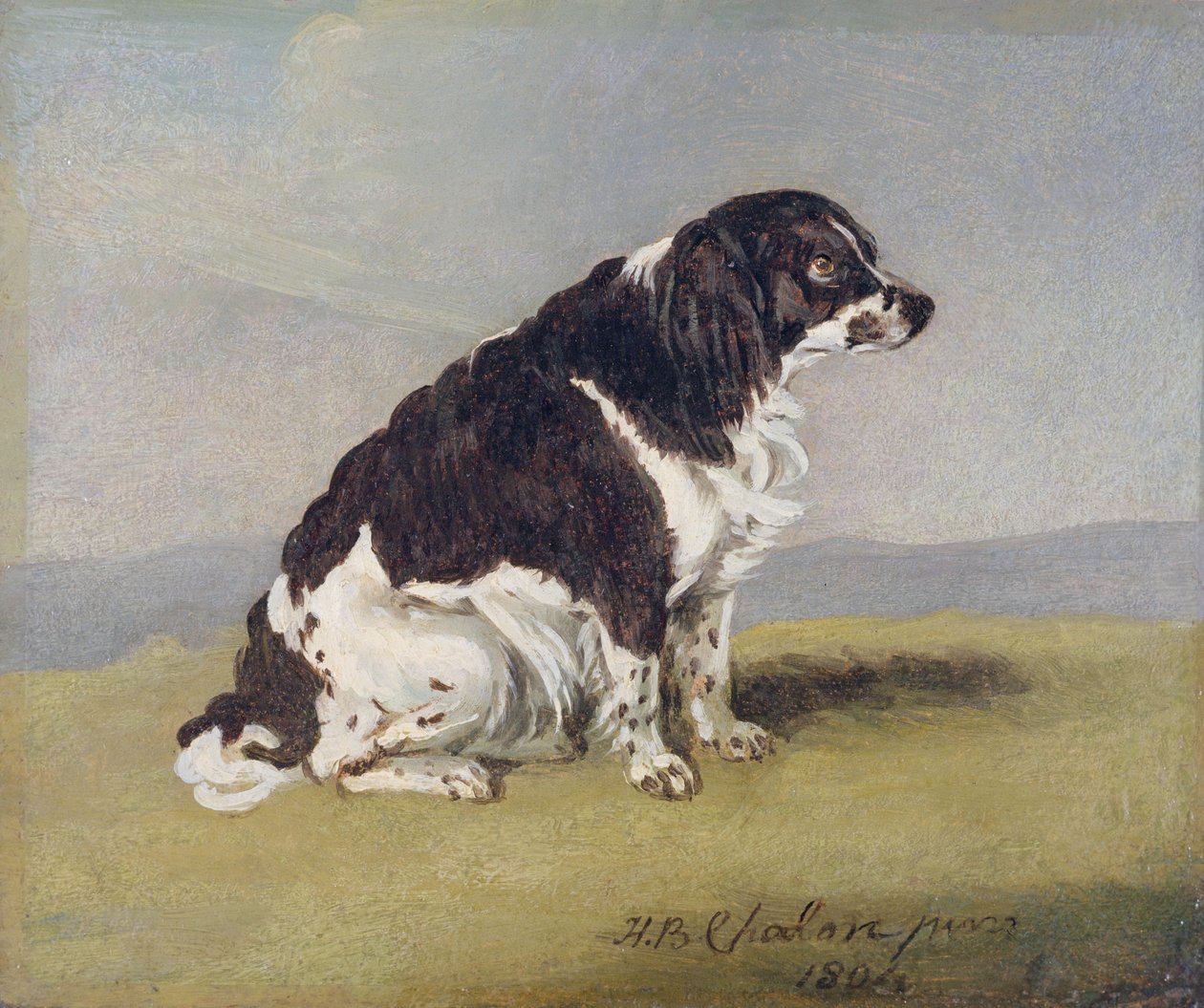 Hertuginnen av Yorks spaniel, 1804 (olje på kvernbrett) av Henry Bernard Chalon