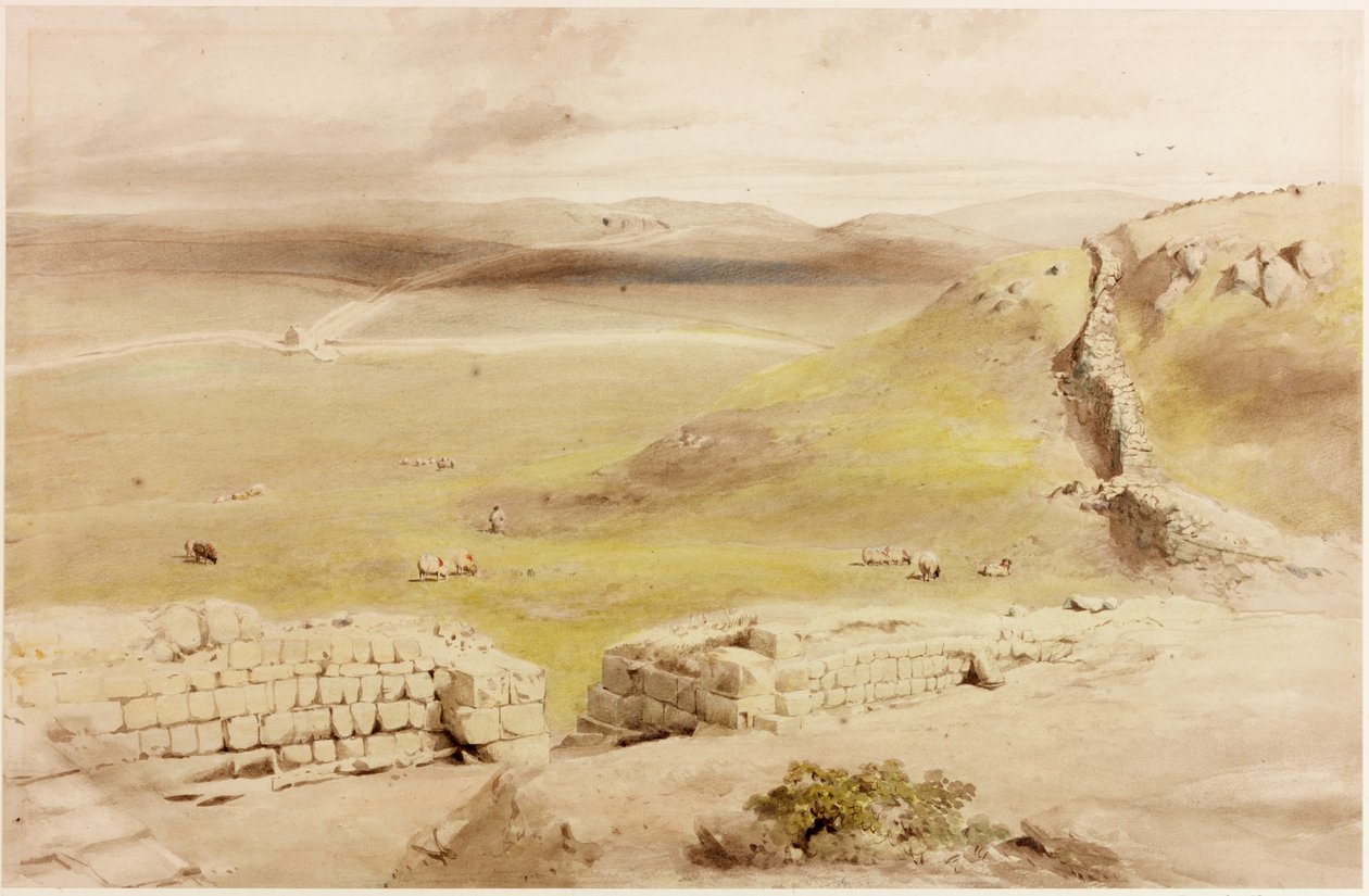 Cawfields (kroppsfarge) av Henry Burdon Richardson