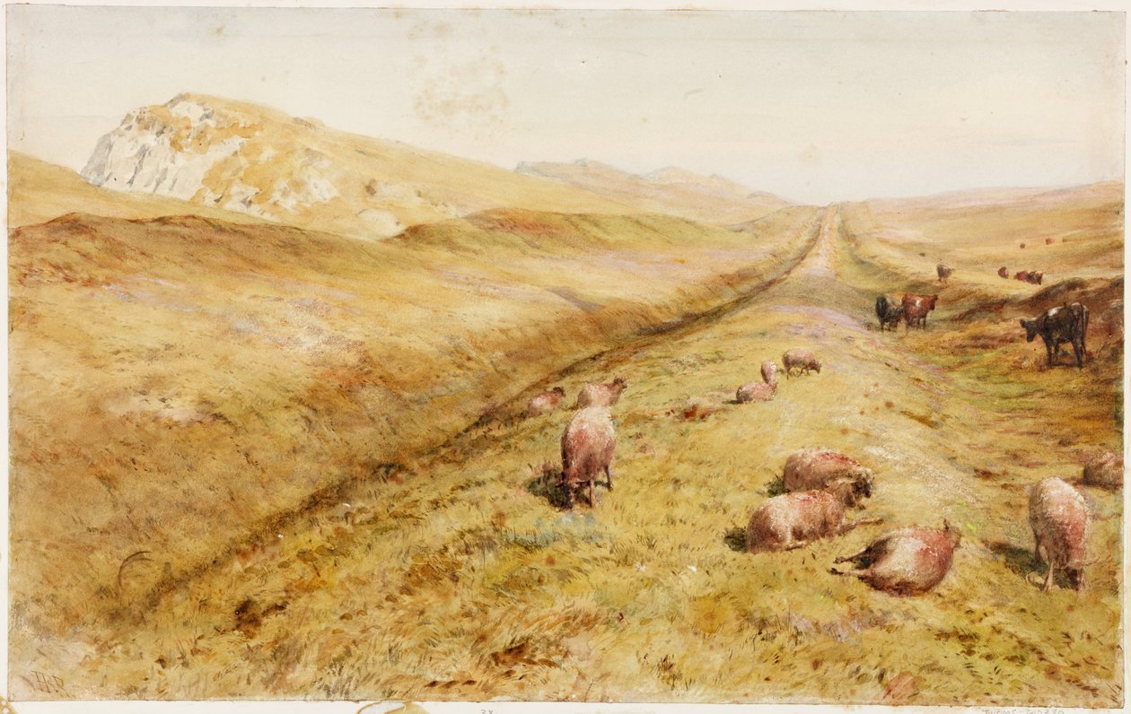 Cawfields (kroppsfarge) av Henry Burdon Richardson