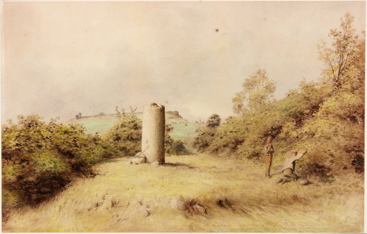 Chesterholm (kroppsfarge) av Henry Burdon Richardson