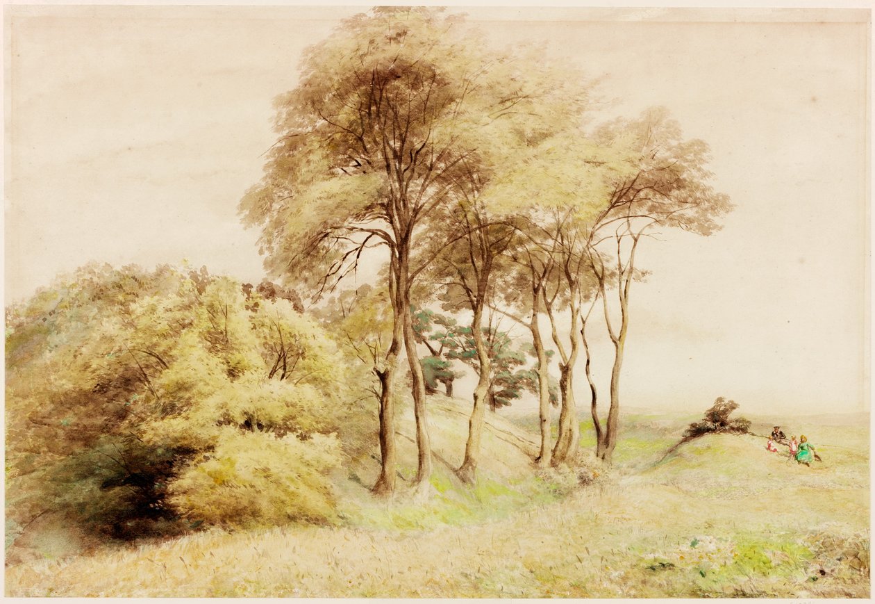 Drumburgh (kroppsfarge) av Henry Burdon Richardson