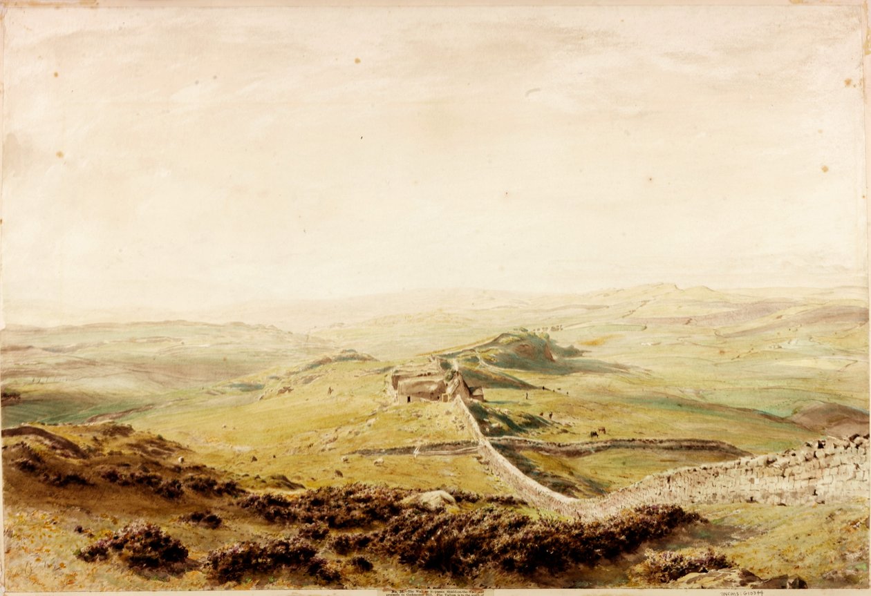 Skjold-på-veggen (kroppsfarge) av Henry Burdon Richardson