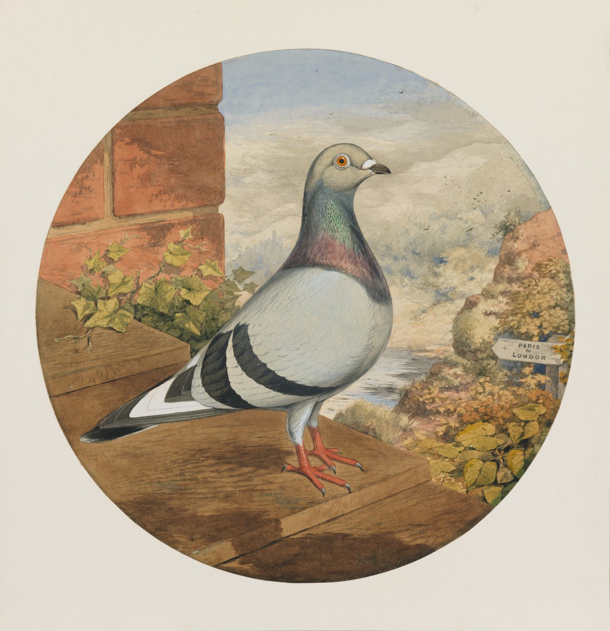 Racing Pigeons, Paris til London, 1880 av Henry Stephen Ludlow