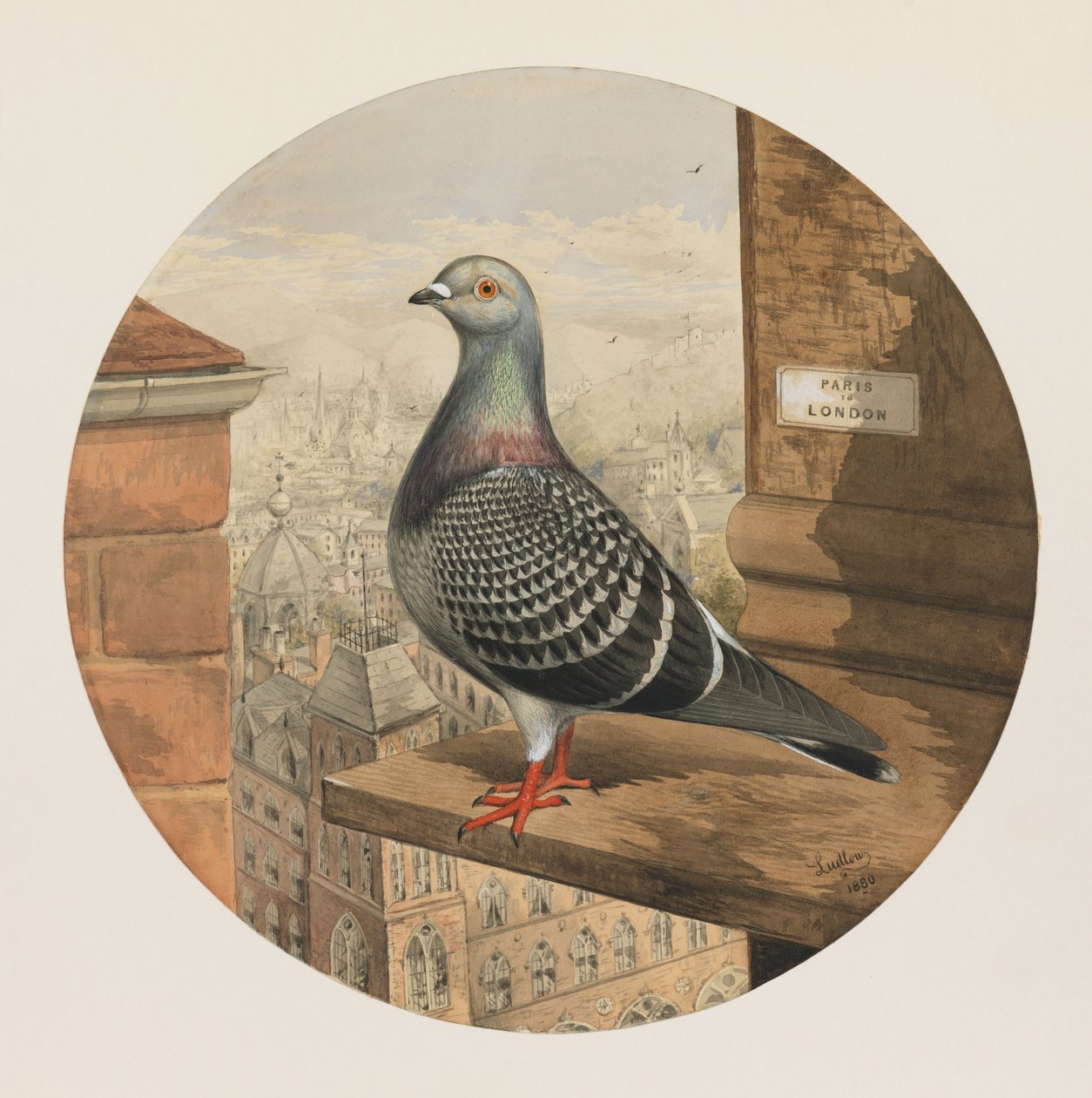 Racing Pigeons, Paris til London, 1880 av Henry Stephen Ludlow