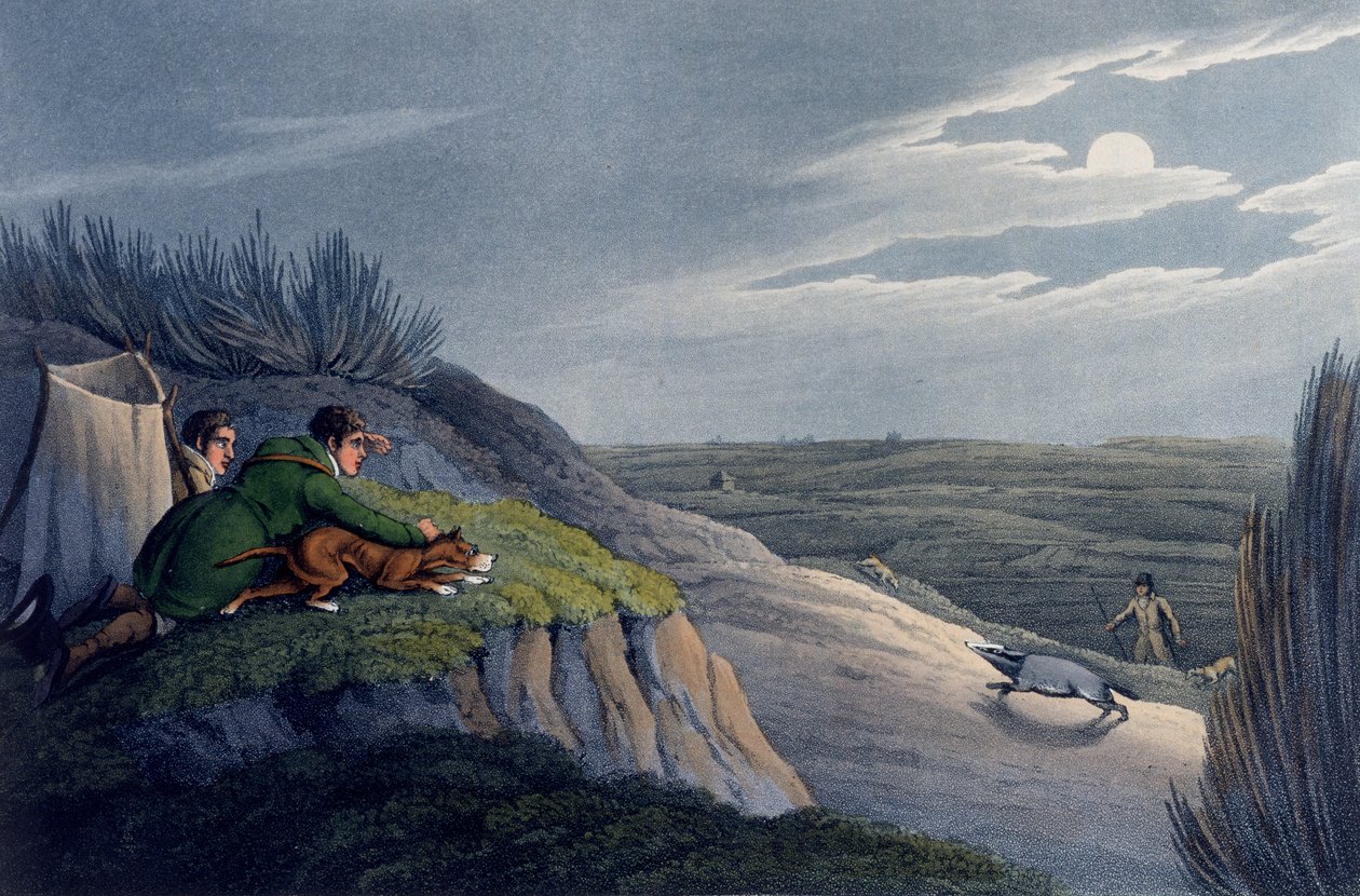 Grevlingfangst, 1820 av Henry Thomas Alken